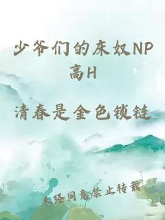 少爷们的床奴NP高H