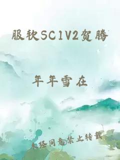 服软SC1V2贺腾