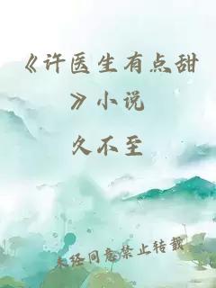 《许医生有点甜》小说