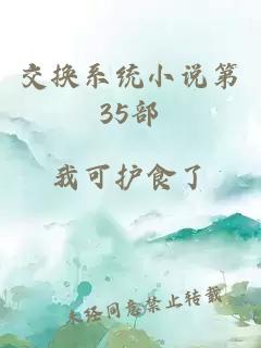 交换系统小说第35部