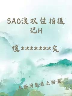 SAO浪双性拍摄记H