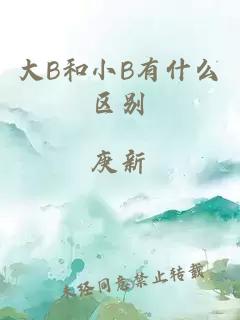 大B和小B有什么区别