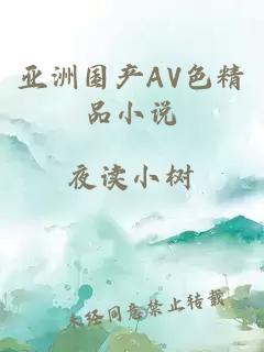 亚洲国产AV色精品小说