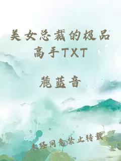 美女总裁的极品高手TXT