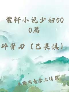 紫轩小说少妇500篇