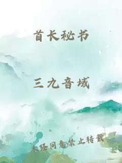 首长秘书