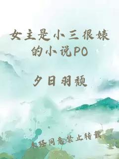 女主是小三很婊的小说PO