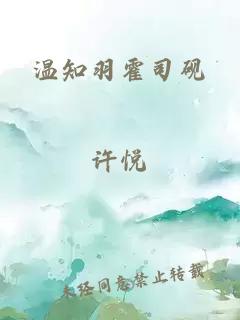 温知羽霍司砚