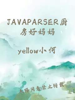 JAVAPARSER厨房好妈妈