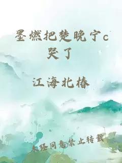 墨燃把楚晚宁c哭了