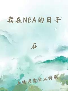 我在NBA的日子