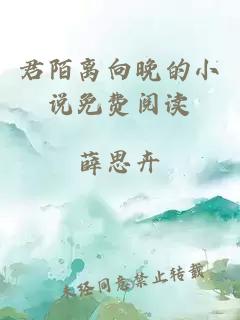 君陌离向晚的小说免费阅读