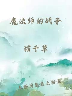 魔法师的战争