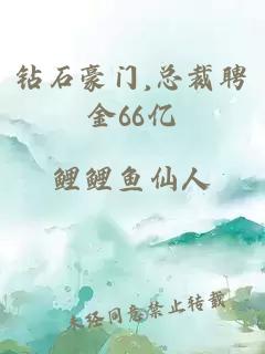 钻石豪门,总裁聘金66亿