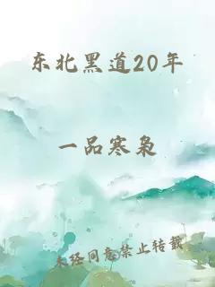 东北黑道20年