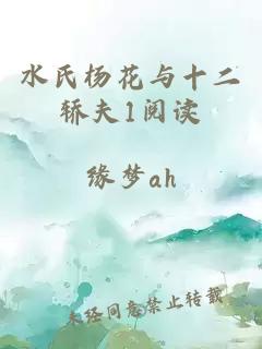 水氏杨花与十二轿夫1阅读