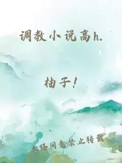 调教小说高h.