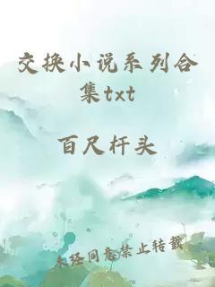 交换小说系列合集txt