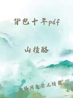 背包十年pdf