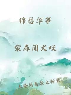 锦瑟华筝