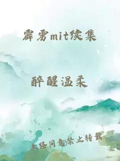 霹雳mit续集