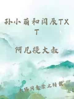 孙小萌和闫辰TXT