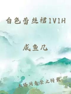 白色蕾丝裙1V1H