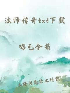 法师传奇txt下载