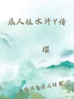 成人版水浒Y传