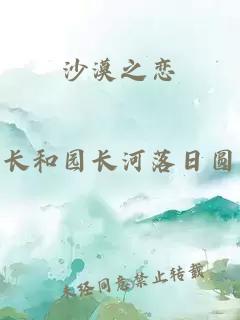 沙漠之恋