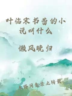 叶临宋书蕾的小说叫什么