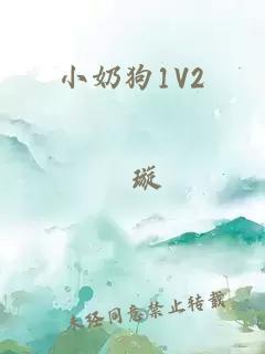 小奶狗1V2