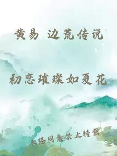 黄易 边荒传说