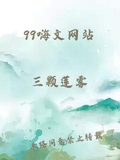 99嗨文网站