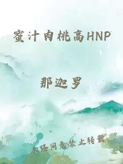 蜜汁肉桃高HNP