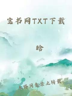 宝书网TXT下载