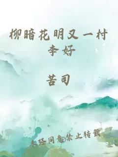 柳暗花明又一村 李好