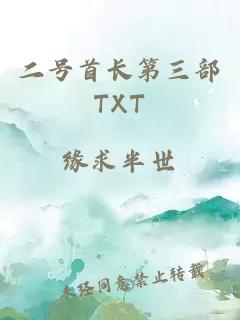 二号首长第三部TXT