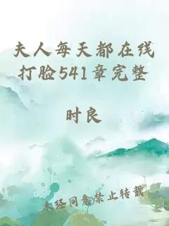 夫人每天都在线打脸541章完整