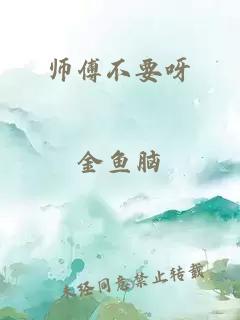 师傅不要呀