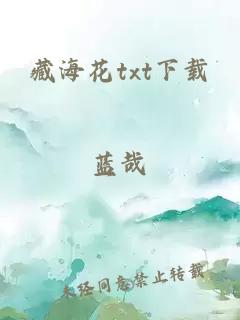 藏海花txt下载