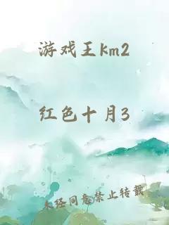 游戏王km2