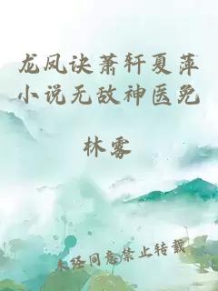 龙凤诀萧轩夏萍小说无敌神医免