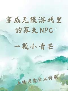 穿成无限游戏里的寡夫NPC