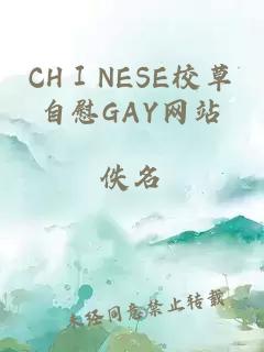 CHⅠNESE校草自慰GAY网站