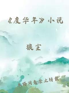 《度华年》小说