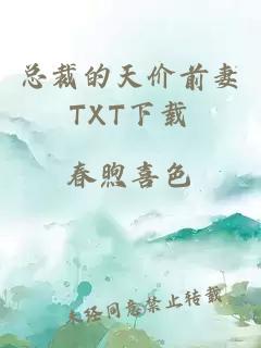 总裁的天价前妻TXT下载