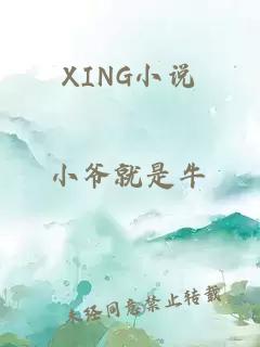 XING小说