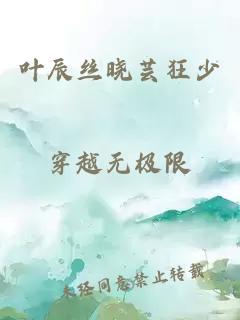 叶辰丝晓芸狂少