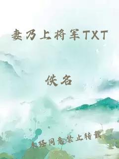 妻乃上将军TXT